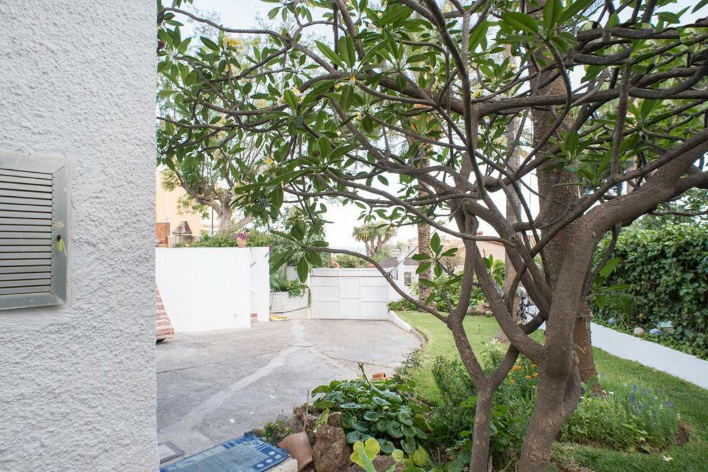 Habitacion Doble En Villa مالقة المظهر الخارجي الصورة